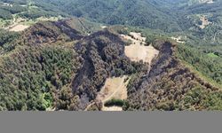 Bolu Göynük'teki orman yangınında 35 hektarlık alan zarar gördü