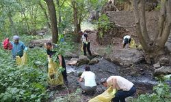 Hakkari'de doğaseverler Ava Ore Şelalesi'nin çevresinde temizlik yaptı