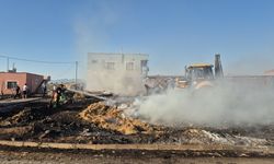 Manisa'da makilik alanda çıkan yangına müdahale ediliyor