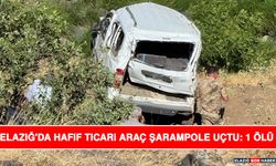 Elazığ'da Hafif Ticari Araç Şarampole Uçtu: 1 Ölü