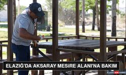 Elazığ’da Aksaray Mesire Alanı'na bakım