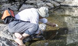 Vanlı doğa fotoğrafçısı Deliçay'daki su kaplumbağalarını elleriyle besliyor