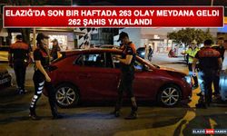 Elazığ'da Son Bir Haftada 263 Olay Meydana Geldi 262 Şahıs Yakalandı