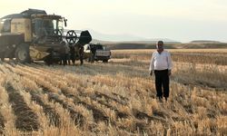 Başkale'de buğday hasadı başladı