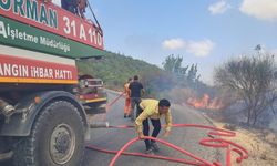 Hatay Yayladağı'nda çıkan orman yangını kontrol altına alındı