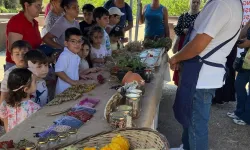 Miniklere doğadan sofraya tarım eğitimi
