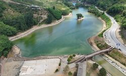 Trabzon'daki Sera Gölü yüzeyinden 30 kamyon çöp temizlendi