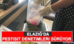 Elazığ’da Pestisit Denetimleri Sürüyor