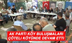 AK Parti Köy Buluşmaları, Çöteli Köyünde Devam Etti