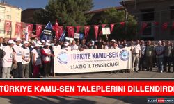 Türkiye Kamu Sen Taleplerini Dillendirdi