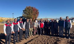 Bakan Yumaklı, Tunceli'de coğrafi işaretli dağ sarımsağının ekimini yaptı: