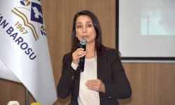 DEM Parti Eş Genel Başkanı Hatimoğulları, Van'da 'Sivil Toplum Buluşması' programına katıldı