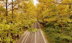 KARABÜK - 'Orman denizi' Karabük'te sonbaharın renkleri havadan görüntülendi