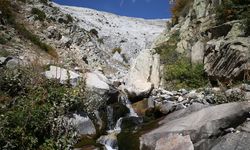 Önemli barajlarında su kalmayan Bursa'nın Uludağ'daki pınarları da alarm veriyor