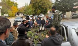 Ağın'da vatandaşlara 2 bin 500 fidan dağıtıldı