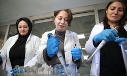 Akademisyenler Karadeniz'de bazı balık türlerinde mikroplastikleri araştırdı