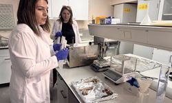 Balığın tazelik derecesini gösteren ölçüm cihazına 'buluş' tescili