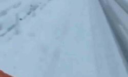 Bingöl’ün yüksek kesimleri beyaza büründü