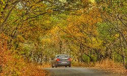 Bitlis'te Hizan ormanları hazan renklerine büründü