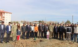 Çaldıran'da fidanlar toprakla buluşturuldu