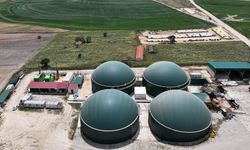 Edirne'de köye kurulan tesiste bitkisel ve hayvansal atıklar elektriğe dönüşüyor