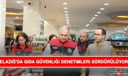 Elazığ'da Gıda Güvenliği Denetimleri Sürdürülüyor
