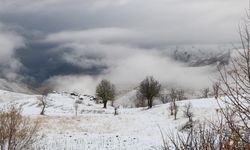 Hakkari'de yüksek kesimlere kar yağdı