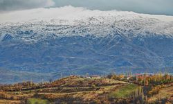 Hizan'da yüksek kesimlerde kar etkili oldu