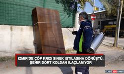 İzmir'de Çöp Krizi Sinek İstilasına Dönüştü, Şehir Dört Koldan İlaçlanıyor