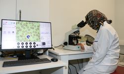 Kan hücrelerini yapay zekayla tanıyan cihaz hekimlere kolay erişim sağlıyor