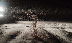 Malatya'nın Darende ilçesinde kar yağışı etkili oluyor