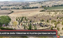 Elazığ’da Doğu Türkistan ve Filistin İçin Fidan Diktiler