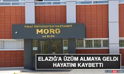 Elazığ’a Üzüm Almaya Geldi, Hayatını Kaybetti