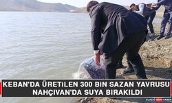 Keban'da Üretilen 300 Bin Sazan Yavrusu Nahçıvan'da Suya Bırakıldı