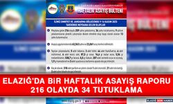 Elazığ'da Bir Haftalık Asayiş Raporu: 216 Olayda 34 Tutuklama