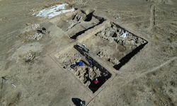 Van'daki kazılarda 5 bin yıllık olduğu değerlendirilen karbonlaşmış arpa taneleri bulundu