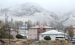 Van'ın ilçelerindeki yüksek kesimlere kar yağdı