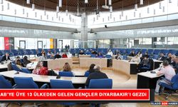 AB’ye Üye 13 Ülkeden Gelen Gençler Diyarbakır’ı Gezdi