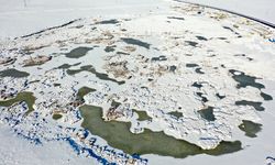 Afrika'dan Rusya'ya göç eden kuşları ağırlayan Çalı Gölü dondu