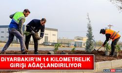 Diyarbakır’ın 14 Kilometrelik Girişi Ağaçlandırılıyor