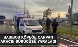 Başıboş Köpeğe Çarpan Aracın Sürücüsü Yaraladı