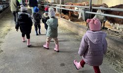 Ardahan'da anaokulu öğrencilerine hayvancılık ve tarım sahada öğretiliyor