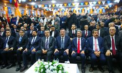 Bingöl'de AK Parti Bingöl İl Danışma Meclisi Toplantısı düzenlendi