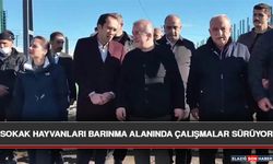 Sokak Hayvanları Barınma Alanında Çalışmalar Sürüyor