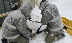 Dicle Elektrik'ten 6 ilde kar mesaisi