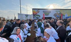 Dünyanın en uzun burma kadayıfı için Guinness başvuru başlatıldı