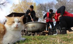 Elazığ'da gençler sahipsiz kediler için mama hazırlayıp dağıtıyor