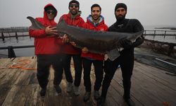 Elazığ'daki tesis mersin balığı yetiştiriciliğiyle havyarda üretim üssü olmak için çalışıyor