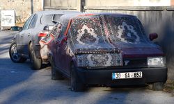 Erzurum, Kars, Ardahan ve Tunceli'de kar yağışı yerini soğuk havaya bıraktı