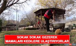 Sokak Sokak Gezerek Mamaları Kedilere Ulaştırıyorlar